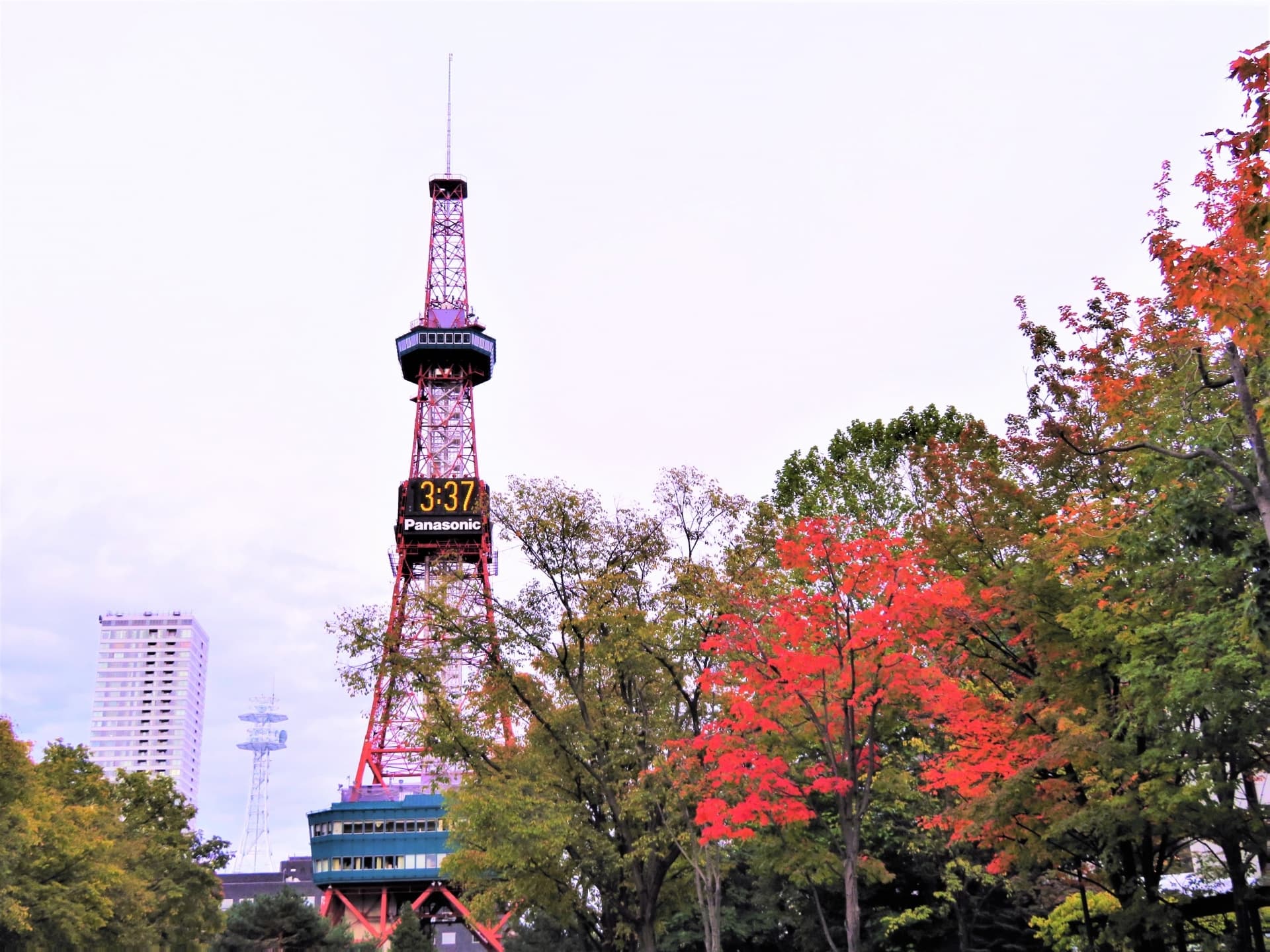 秋の大通公園テレビ塔